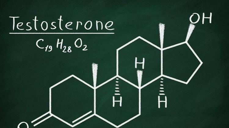 Ilustrasi hormon testosteron, Sumber: tirto.id